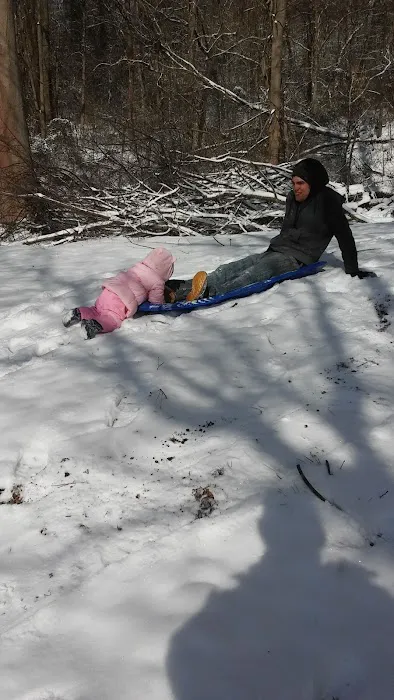 Tornes Campground Picture 1