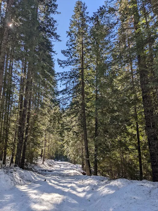 Elk Creek Campground Picture 6