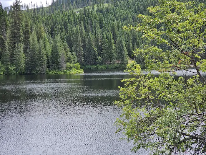 Whispering Pines RV Park Picture 4