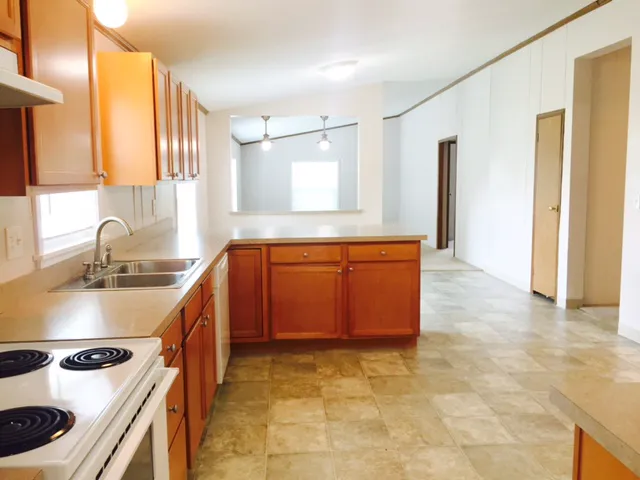 The Ravine Picture 5