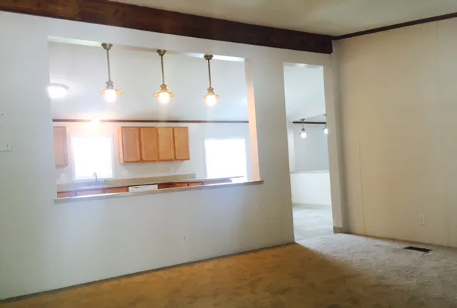 The Ravine Picture 1