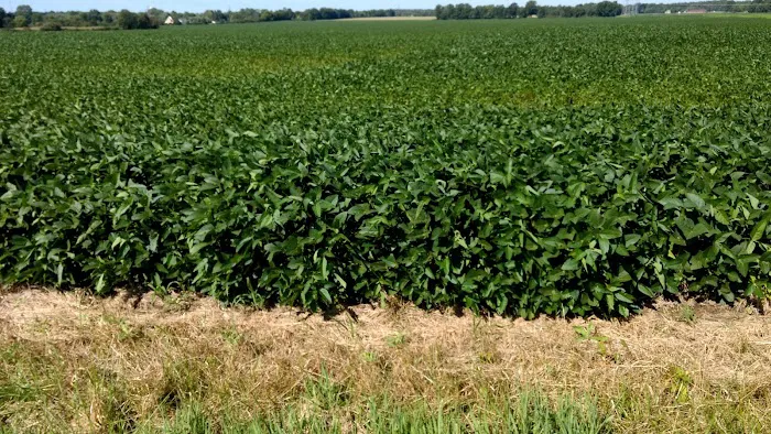 Westerville Estates Picture 10