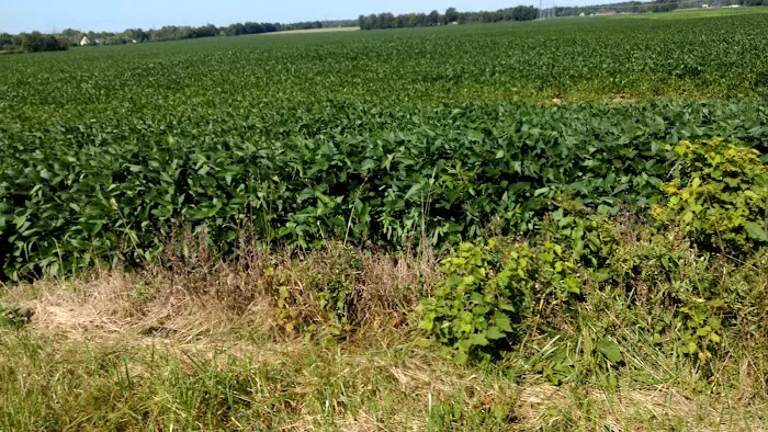 Westerville Estates Picture 9