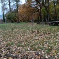 Elk Island Trading Group, LLC ico