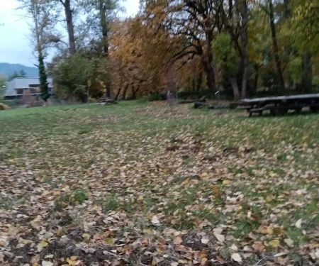 Elk Island Trading Group, LLC