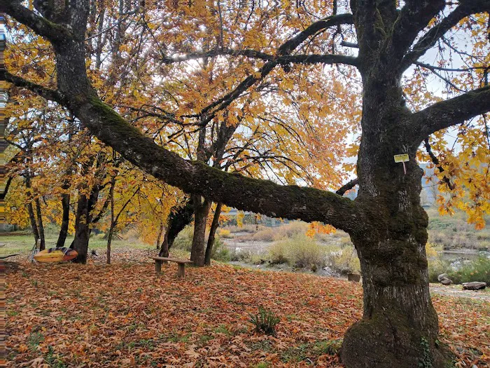 Elk Island Trading Group, LLC Picture 3