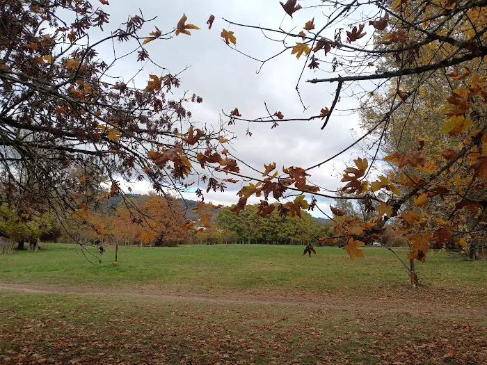 Elk Island Roseburg Oregon Picture 3