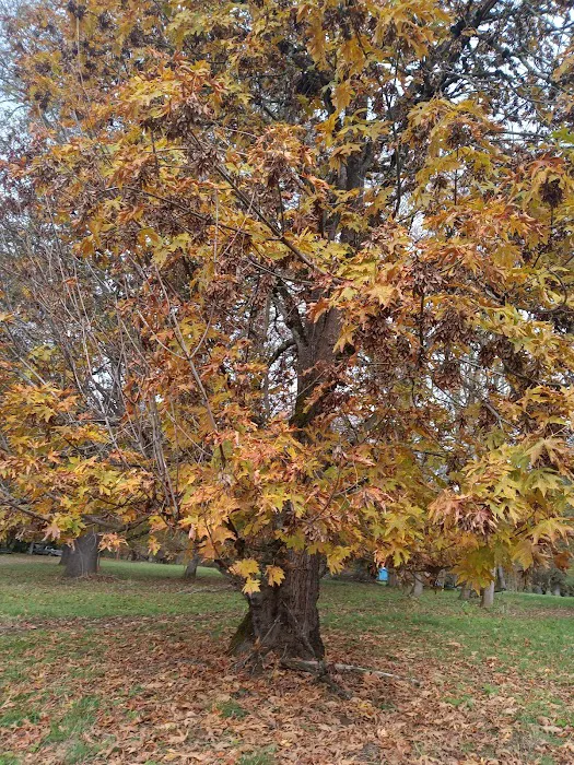 Elk Island Roseburg Oregon Picture 8