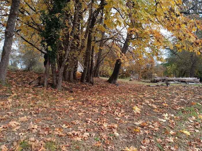 Elk Island Roseburg Oregon Picture 9