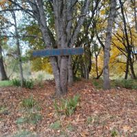 Elk Island Roseburg Oregon ico