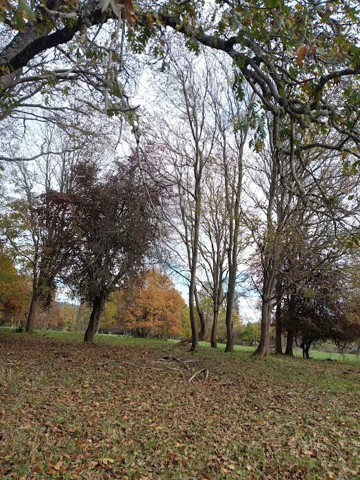 Elk Island Roseburg Oregon Picture 10