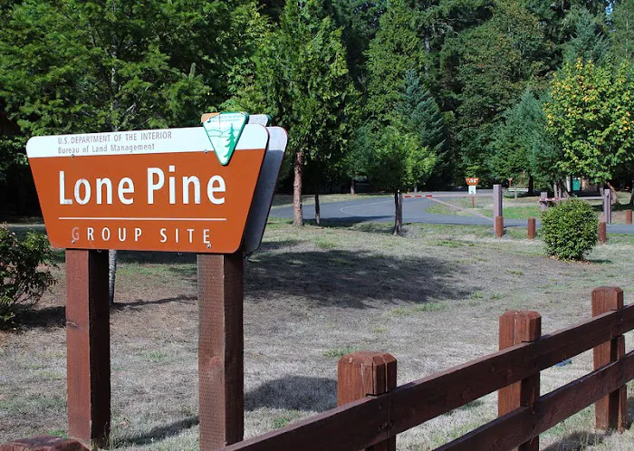 Lone Pine Group Campground (Reservation) Picture 8