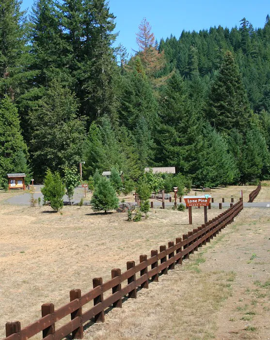 Lone Pine Group Campground (Reservation) Picture 10