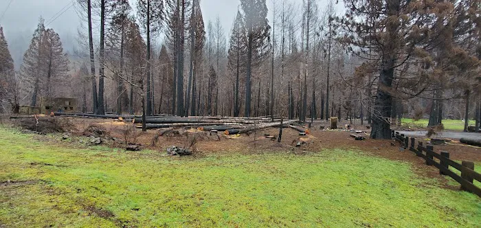 Lone Pine Group Campground (Reservation) Picture 2