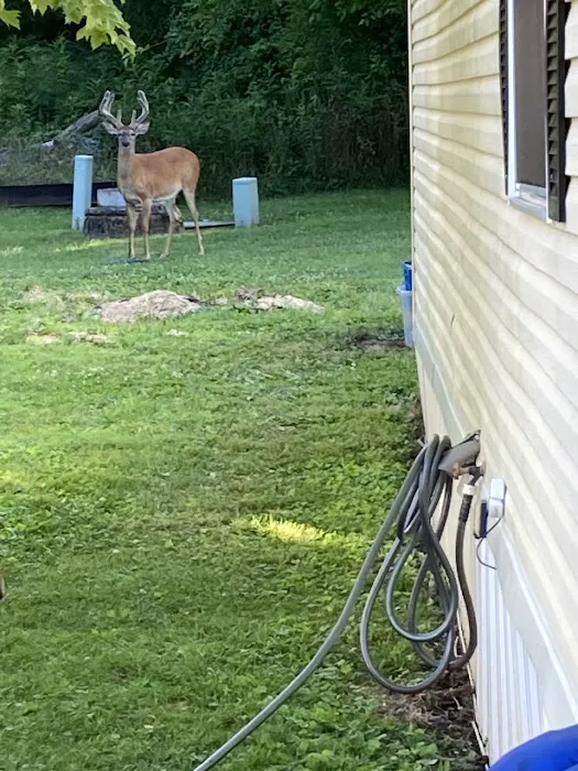 Canterbury Trails Park Picture 4