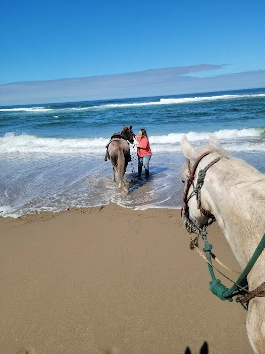 Wild Mare Horse Camp Picture 2