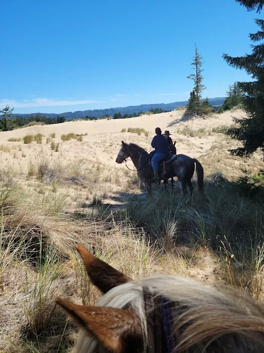 Wild Mare Horse Camp Picture 4