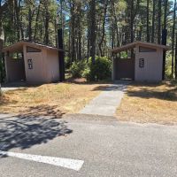 Wild Mare Horse Camp ico