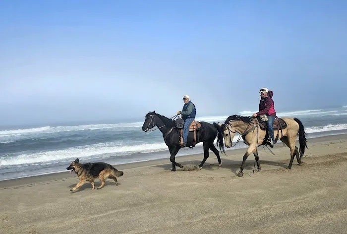 Wild Mare Horse Camp Picture 9