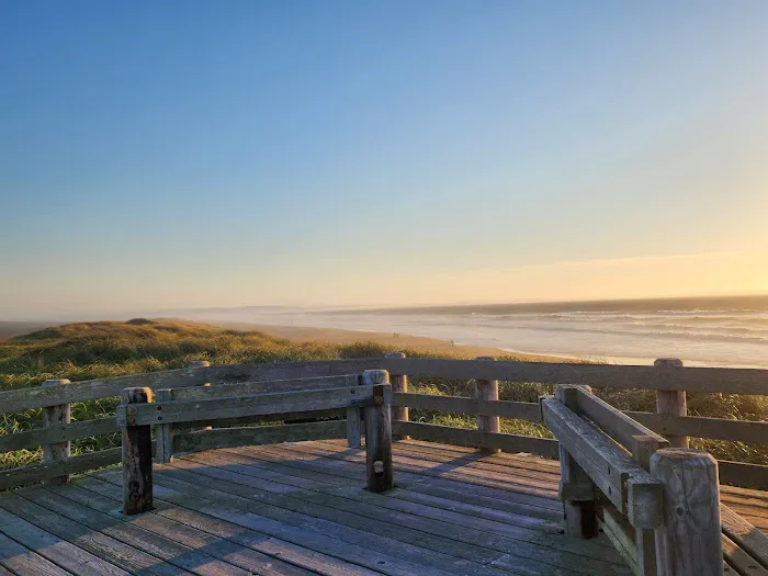 Horsfall Beach Camping Picture 7