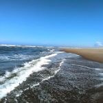 Horsfall Beach Camping