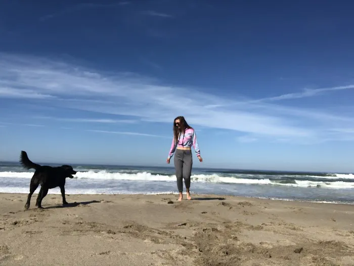 Horsfall Beach Camping Picture 6