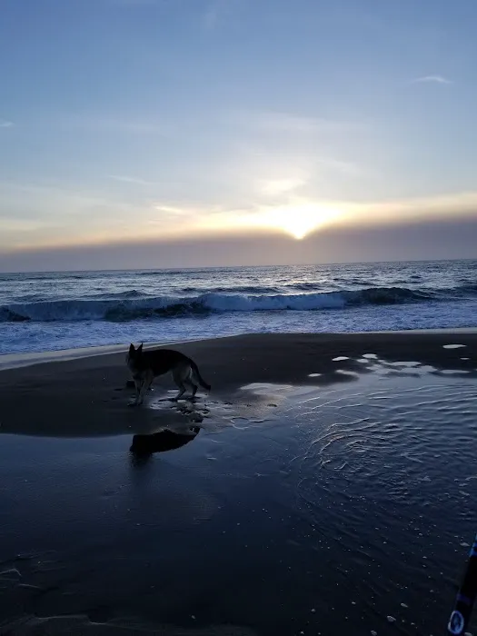 Horsfall Beach Camping Picture 5