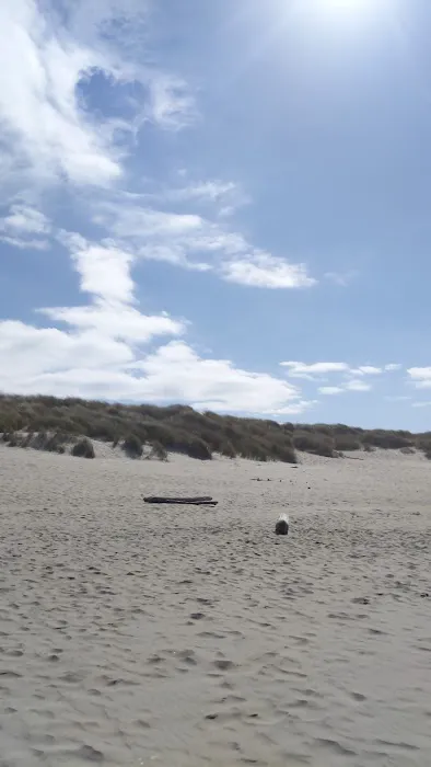 Horsfall Beach Camping Picture 8