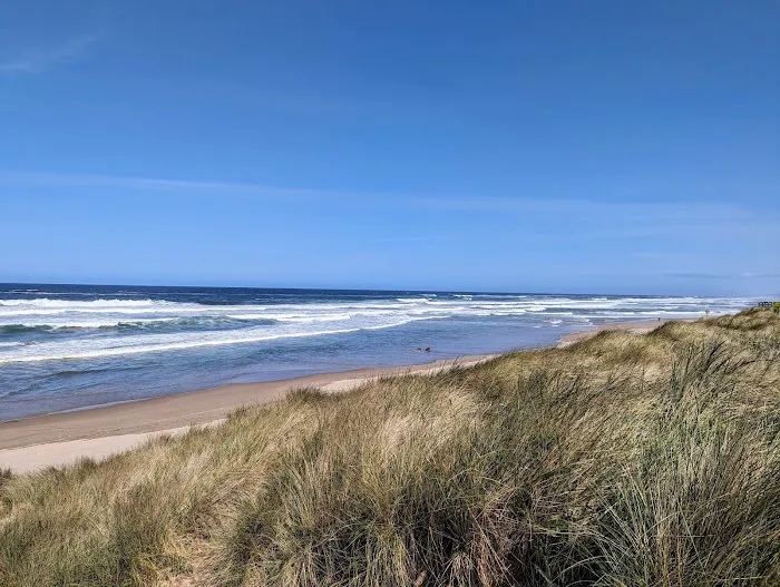 Horsfall Beach Camping Picture 2