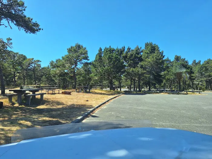 Horsfall Campground Picture 5