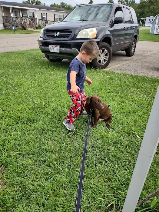 Ramp Creek Mobile Home Community Picture 10