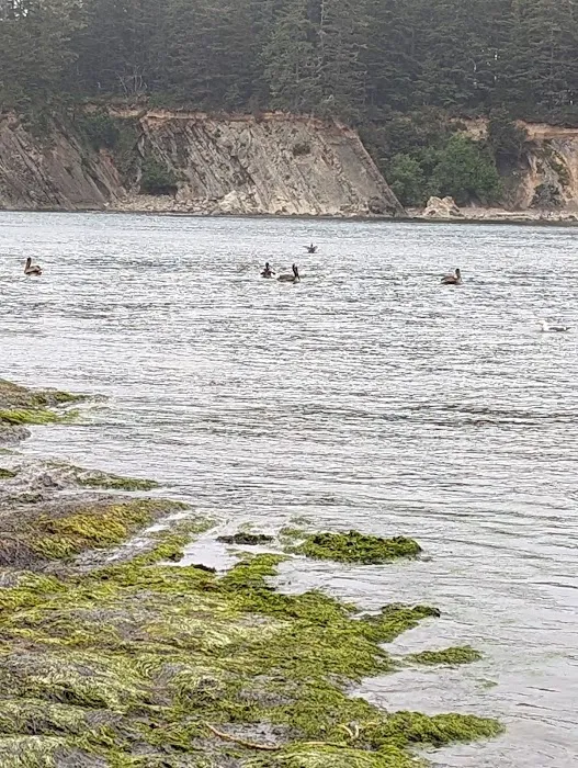 Sunset Bay Campground Picture 6