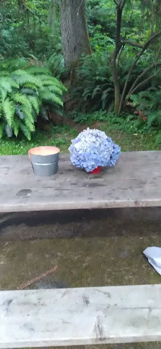 Sunset Bay Campground Picture 1