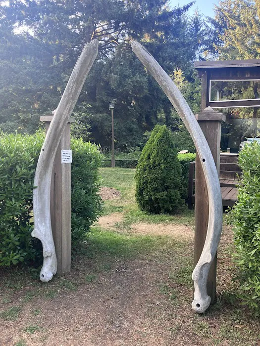 Sunset Bay Campground Picture 10