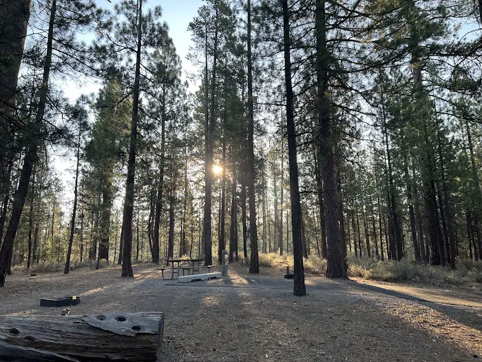 LaPine State Park Campground Picture 4