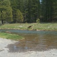 Ogden Group Camp ico