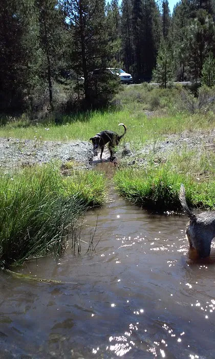 Ogden Group Camp Picture 2