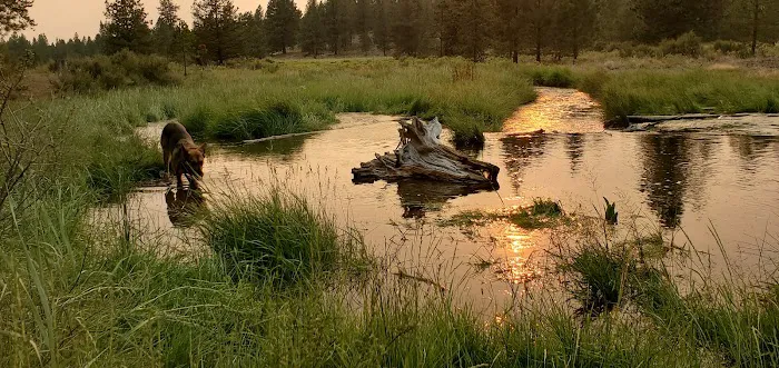 Prairie Campground Picture 7