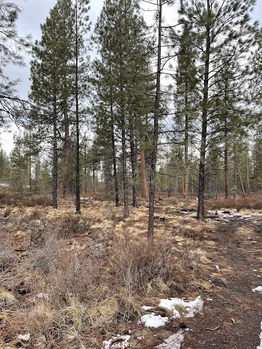 Prairie Campground Picture 2