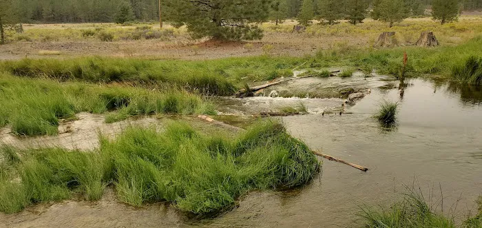 Prairie Campground Picture 5