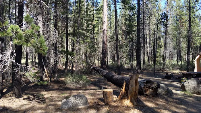 Prairie Campground Picture 6