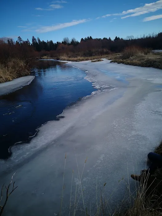 Rosland Campground Picture 7