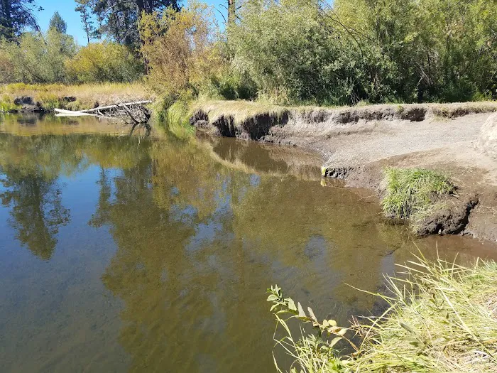 Rosland Campground Picture 10