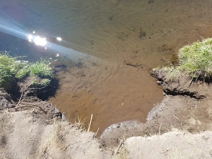 Rosland Campground Picture 8