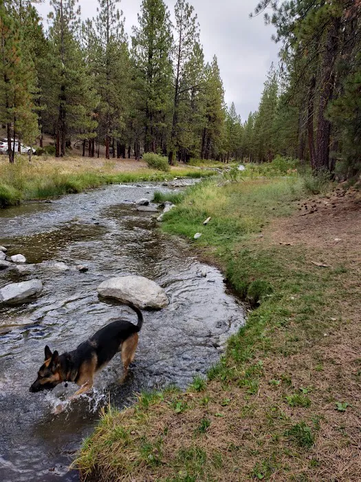 McKay Crossing Campground Picture 3