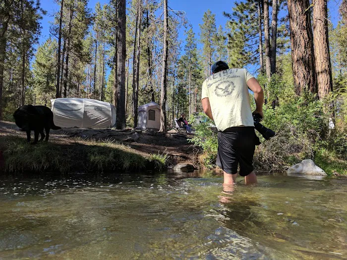 McKay Crossing Campground Picture 7