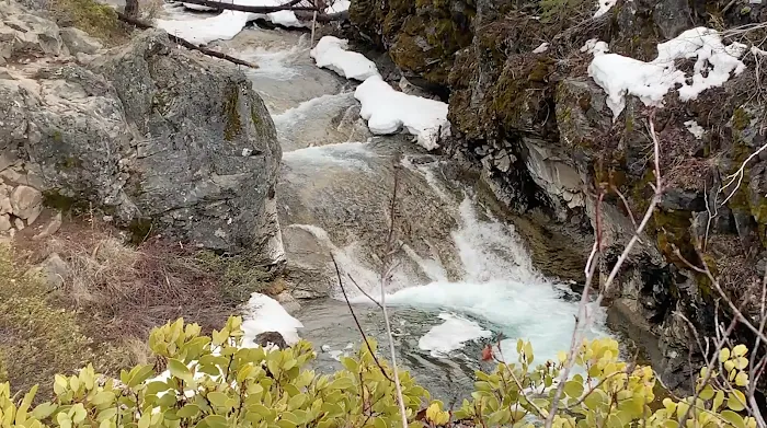 McKay Crossing Campground Picture 10