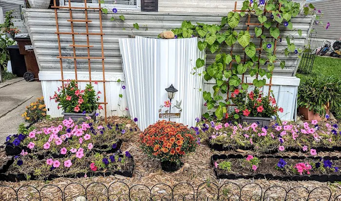 COUNTRYSIDE ESTATES MHP Picture 6