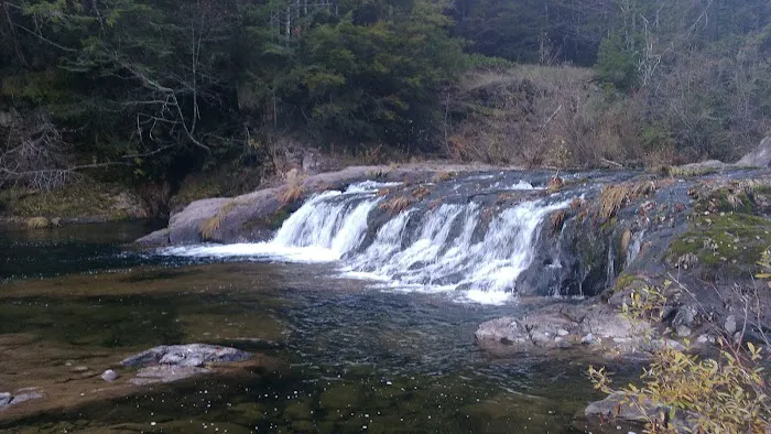 Thielsen Forest Camp Picture 6