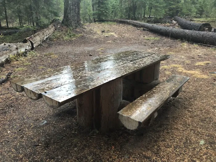 Thielsen Forest Camp Picture 2